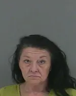 Booking photo of TERRI A SNELSON, Campbell County, Jun 9, 2025