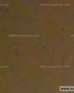 Booking photo of Lee Vernon Blakley, Carroll County, Jun 5, 2015