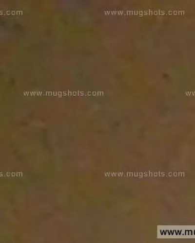 Booking photo of Lee Blakley, Carroll County, Jun 5, 2015