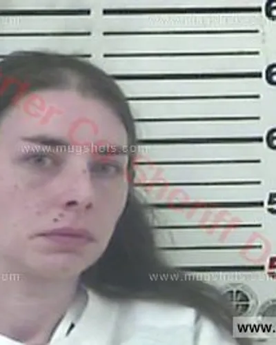 Booking photo of Alicia Fagan, Carter County, Feb 11, 2018