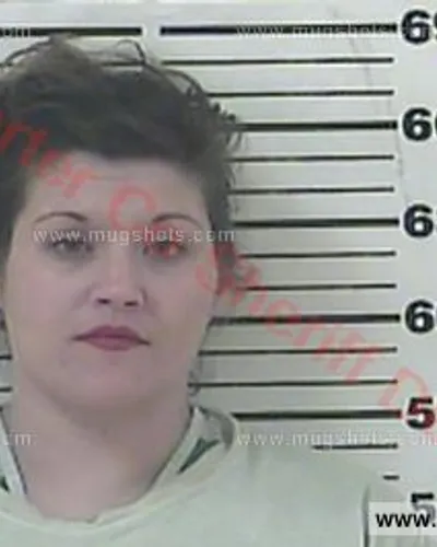 Booking photo of Lindsey Lee Perry, Carter County, Apr 11, 2017