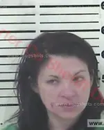 Booking photo of Lacey Jane Terwedo, Carter County, Feb 5, 2018