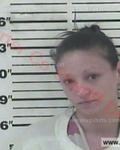 Booking photo of Amanda Jean Fontana, Carter County, May 13, 2017