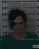 Booking photo of Lisa Kay Combs, Carter County, Jan 4, 2015