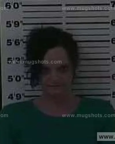 Booking photo of Lisa Combs, Carter County, Jan 4, 2015