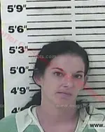 Booking photo of Melinda Sue Ellison-Warren, Carter County, Aug 24, 2015