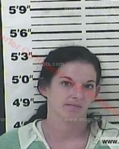 Booking photo of Melinda Sue Ellison-Warren, Carter County, Aug 24, 2015