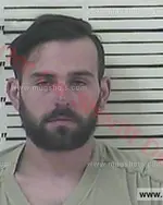 Booking photo of Tyler Wayne Mcneil, Carter County, Nov 9, 2016