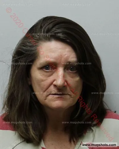 Booking photo of Tamatha Blevins, Carter County, Jan 28, 2020