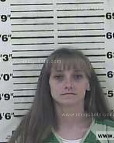 Booking photo of Lindsey Ann Putman, Carter County, May 29, 2015