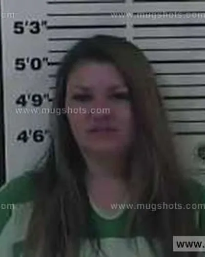Booking photo of Paula Dean Nave, Carter County, Jan 18, 2015