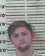Booking photo of Emerson Skye Weems-Collins, Carter County, Jan 20, 2016