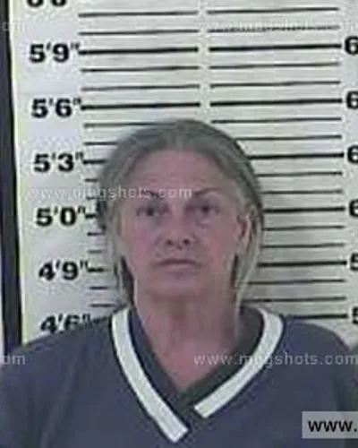 Booking photo of Elizabeth Jennette Collins, Carter County, May 17, 2015