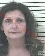 Booking photo of Debra Faye Yourgulez, Carter County, Nov 2, 2015