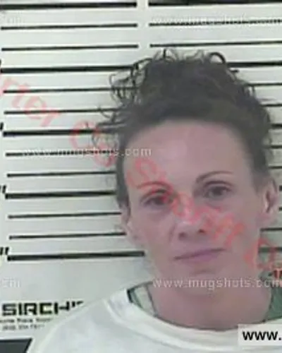 Booking photo of Melinda Lee Beam, Carter County, Jun 26, 2016