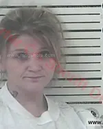 Booking photo of Carlena Page Chambers, Carter County, Feb 16, 2018