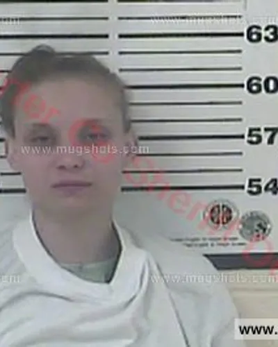 Most recent booking photo for Ashley Nicole Watson