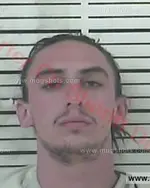 Booking photo of Andrew Blake Holsclaw, Carter County, Jun 30, 2018