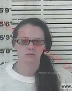 Booking photo of Ashley Breanne Bradford, Carter County, Feb 13, 2018