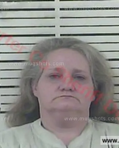 Booking photo of Melissa Milsaps-Baumgardner, Carter County, Dec 6, 2016