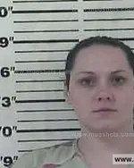 Booking photo of Ashley Nicole Norris, Carter County, Apr 14, 2015