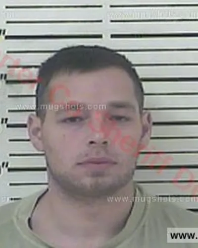 Booking photo of PHILLIP WAYNE WILLIAMS, Carter County, Jan 10, 2017