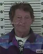 Booking photo of Emmett Blaine Hamrick, Carter County, Apr 22, 2013