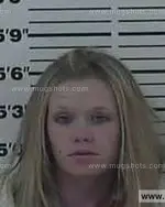 Booking photo of Ashley Desirae Williams, Carter County, Jan 4, 2014
