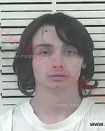 Booking photo of Eligha Joseph Hampton, Carter County, Mar 19, 2017