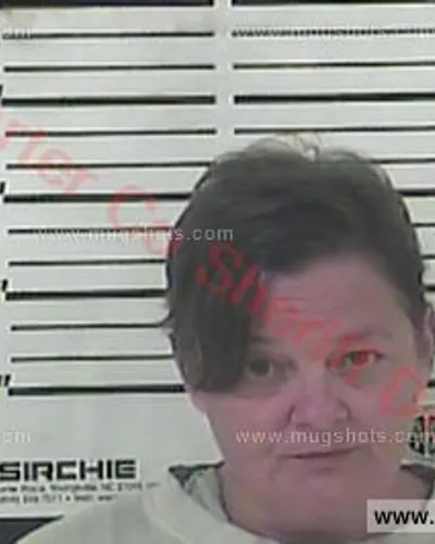 Booking photo of Terri Lee Fox, Carter County, Jun 21, 2017