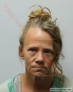 Booking photo of Shannon Renee Stevens, Carter County, Sep 28, 2019