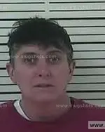 Booking photo of Susanne Leigh Harrison, Carter County, Nov 24, 2013