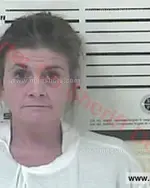 Booking photo of Angela Perry Fisher, Carter County, Jan 5, 2018