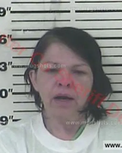 Most recent booking photo for April Beth Greer