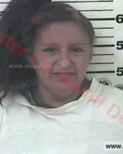 Booking photo of Lorraine Williamson, Carter County, Sep 12, 2016