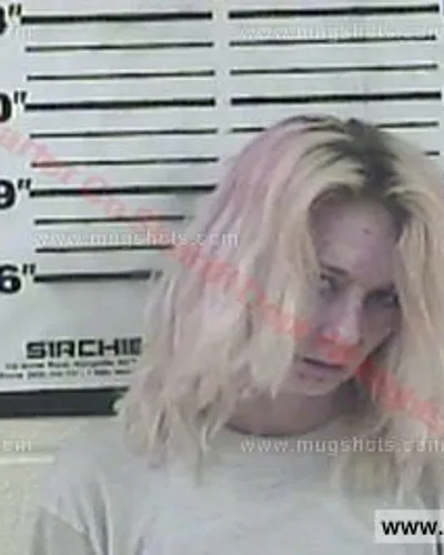 Booking photo of Cynthia Vaughn, Carter County, Aug 24, 2015