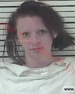 Booking photo of Tarah Jean Johnson, Carter County, Jul 19, 2017