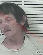 Booking photo of Randy Lee Robinson, Carter County, Jun 24, 2016