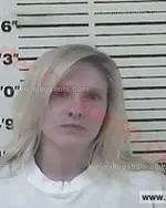 Booking photo of Heather Michelle Birchfield, Carter County, Aug 24, 2016