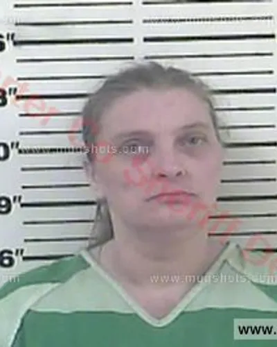 Most recent booking photo for Lisa Carol Lester