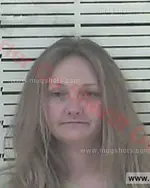Booking photo of April Marie Hoskins, Carter County, Mar 29, 2017
