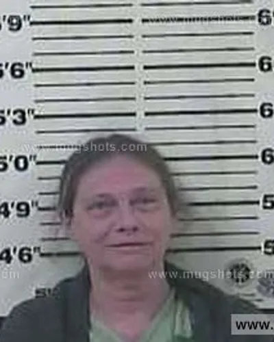 Booking photo of Paula Gilbo, Carter County, Apr 18, 2015