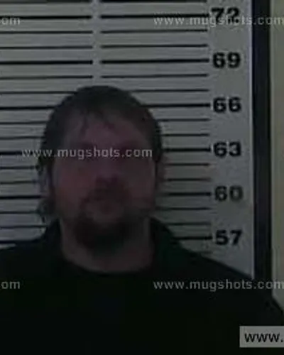 Booking photo of Randy Lynn Wilson, Carter County, Nov 23, 2014