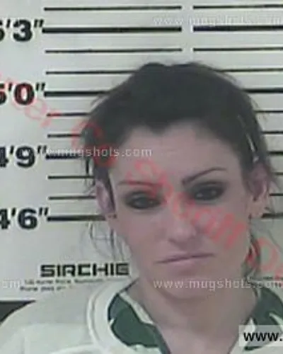 Booking photo of Valerie N Saylor-Gray, Carter County, Jan 3, 2017