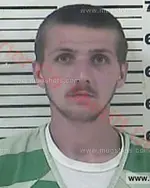 Booking photo of Austin Tyler Malone, Carter County, Jun 12, 2017