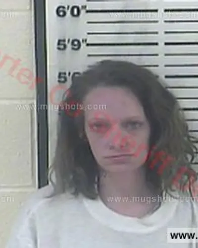 Booking photo of Sarah Denise Clawson, Carter County, Feb 28, 2018