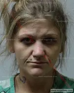 Booking photo of Carlena Page Chambers, Carter County, Feb 26, 2019