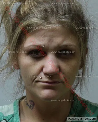 Booking photo of Carlena Page Chambers, Carter County, Feb 26, 2019