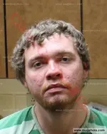 Booking photo of William Jackson Bryer, Carter County, Mar 27, 2018