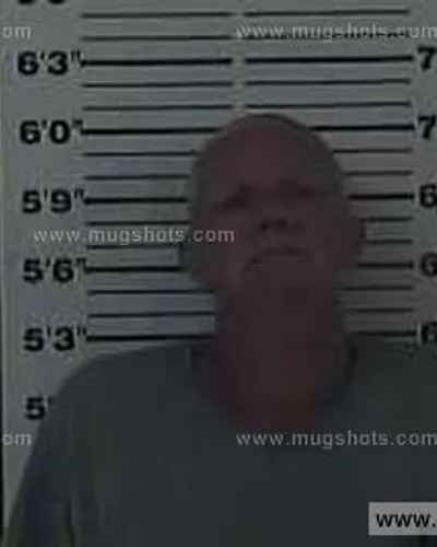 Booking photo of Louis Stout, Carter County, Jul 15, 2014